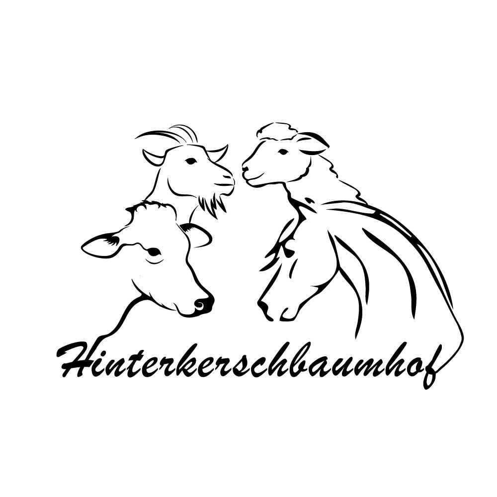 Design Werbeagentur Salzburg